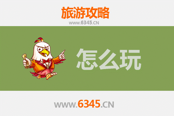 节假日天门九真镇深度游玩攻略：田园风光与古镇文化的完美融合